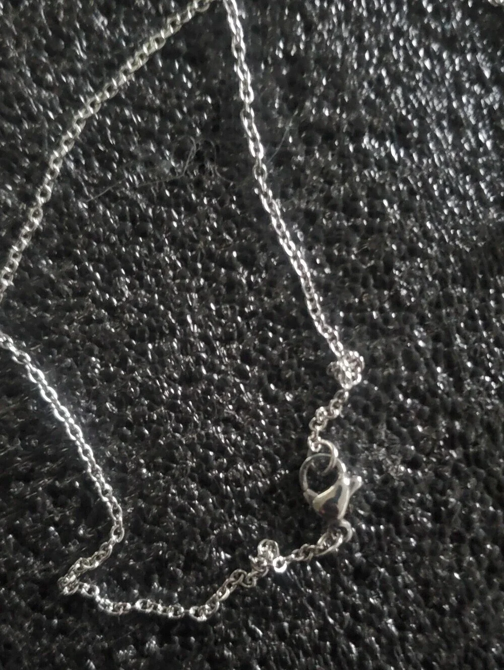 Abalone Shell Crystal Swan Queen Pendant Necklace in Polished Stainless Steel